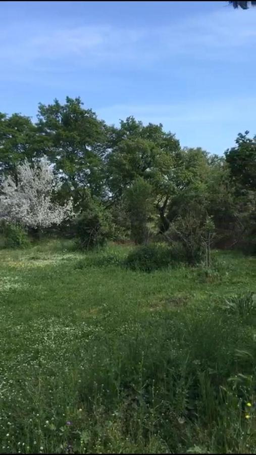 Il Casale Del Popolo Villa Barbarano Romano Eksteriør billede
